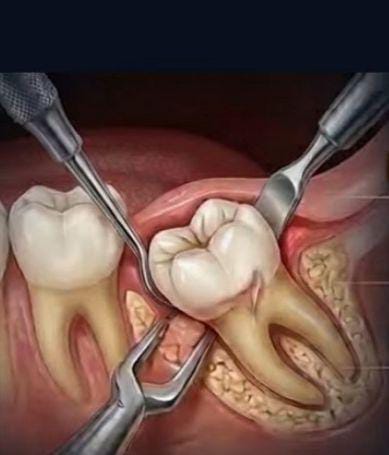 whatsapp image 2026 03 21 at 23.16.25